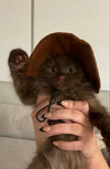 изображение_2023-01-20_161337522.png
