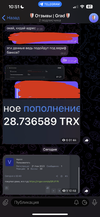 IMG_1224.png