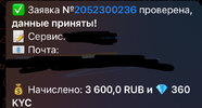 IMG_0273.jpeg