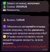 IMG_0591.jpeg