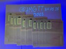 IMG_1342.jpeg
