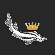 BELUGA