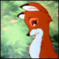 ADULT FOX