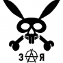 Black_Rabbit