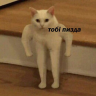 Nikotik