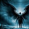 BlackWings