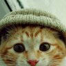old_yoba