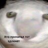 LitleBooSheep