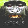 Avtobus