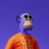 webnesz