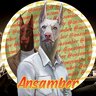 Ansamber