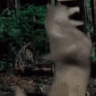anubisssanton