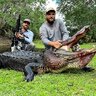 alligator-666