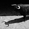Guess2