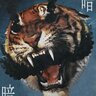 BackendTiger