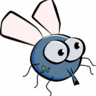 Fly