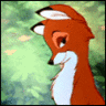 ADULT FOX