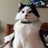 Under_Dog