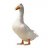 goos3