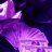 mr_valentin1