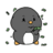 Rayzon
